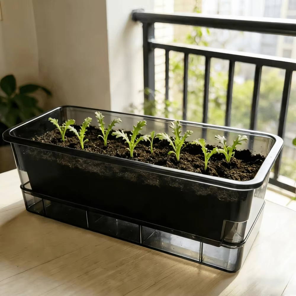 Pots de culture hydroponique en plastique épaissi, bacs de semis auto-arrosants, conteneurs de plant