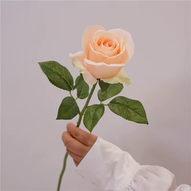 Rose Esha artificielle au toucher réel, 5 pièces, pour salon, décoration de mariage, centre de Table