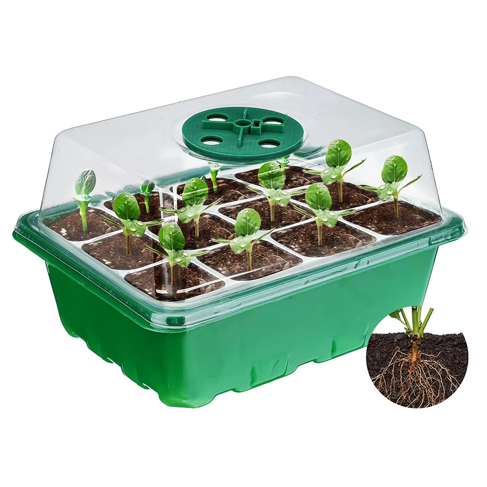 Plateau de démarrage de graines, Kit de démarrage de plantes et Base, Mini Kit de Germination de ser