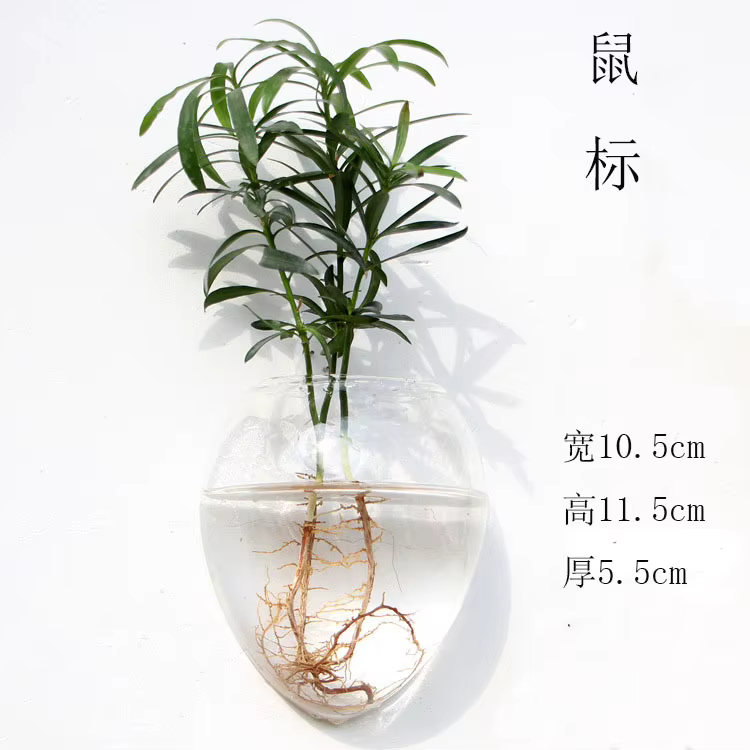 Vases muraux pour plantes d'intérieur, jardinières hexagonales de conception transparente pour la ma