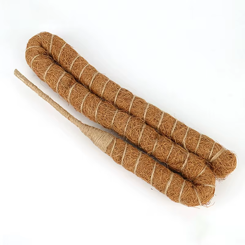 Canne de palmier grimpante pliable pour plantes d'intérieur, 60-120cm, Monstera pour cultiver vers l