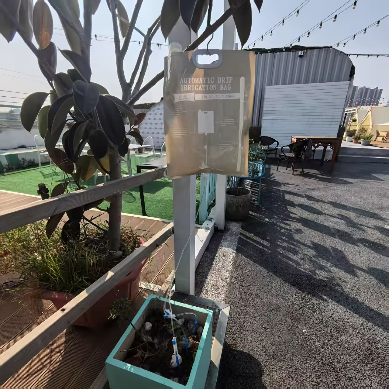 Arroseur automatique à goutte-à-goutte, débit réglable, trois buses d'arrosage pour l'entretien et l