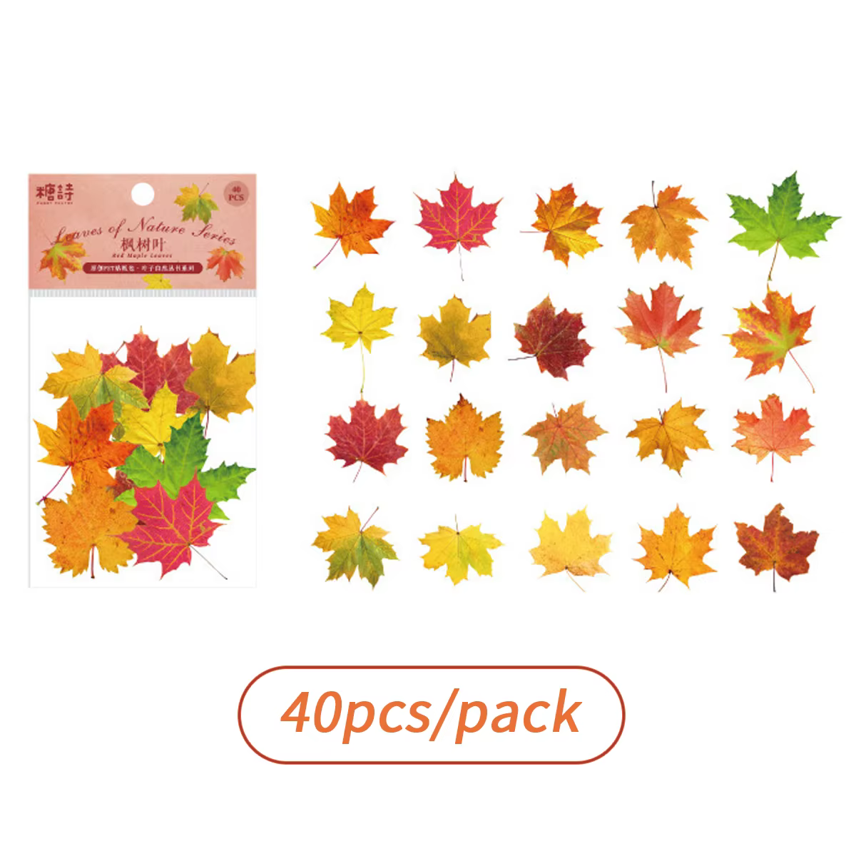 Autocollants transparents en PET pour plantes, autocollants décoratifs DIY en forme de feuilles pour