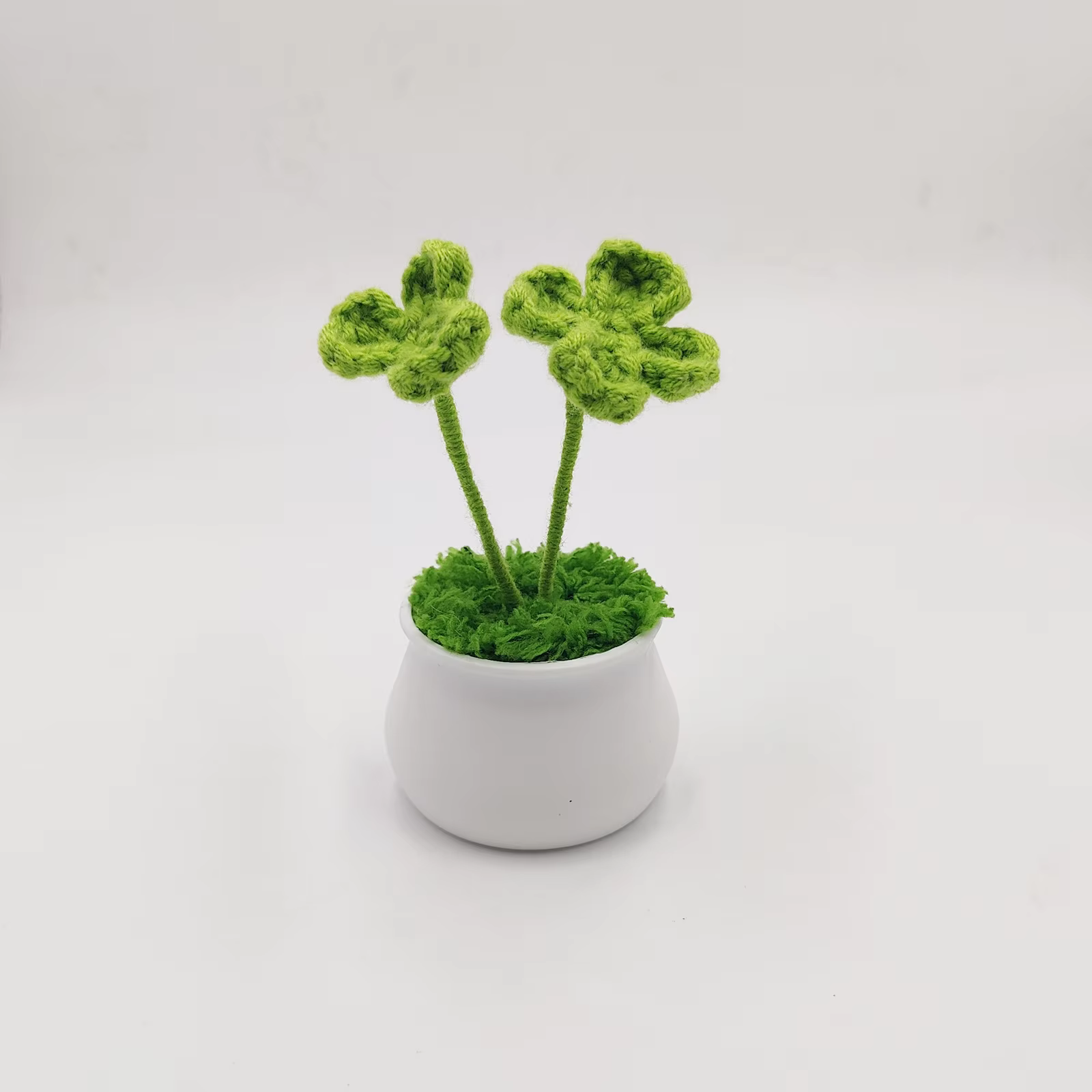 Plante en pot Everver Four scalp, ornement pour la maison, décoration de jardin et de bureau, cadeau