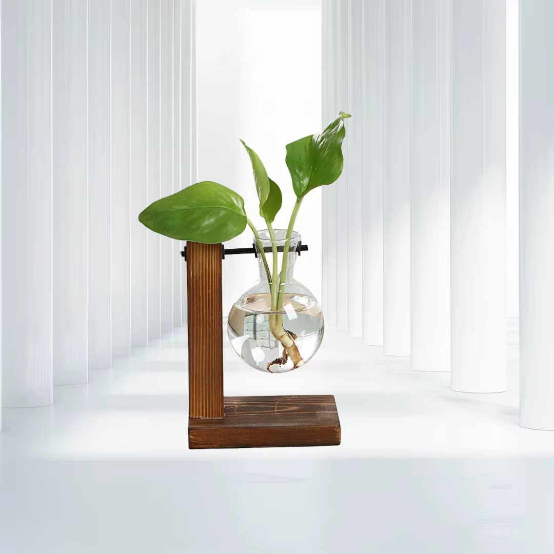 Vase à plantes hydroponiques avec cadre en bois, décoration de bureau, plante verte, petit Vase en v