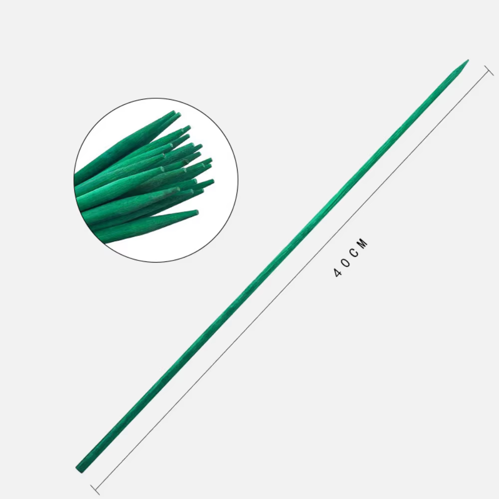 Bâtons verts en bambou, Support de plantes, bâton de fleur, tige d'orchidée, bâtons de plantes pour 