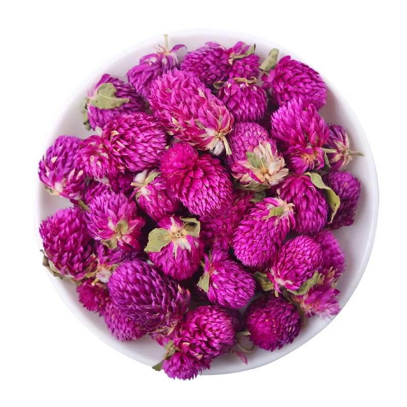 Fleur de Gomphrena sèche naturelle pour décoration de mariage, aromathérapie de salle de bain, brico
