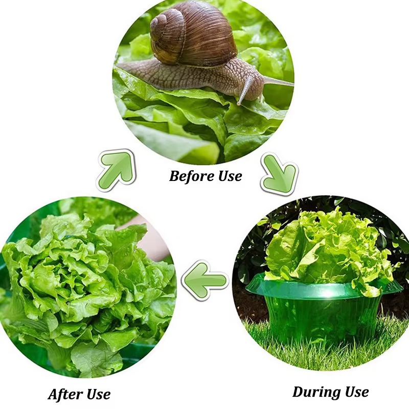 Anneaux de Protection des limaces pour plantes, jardinière verte, Pot de fleur, escargot, légumes, c
