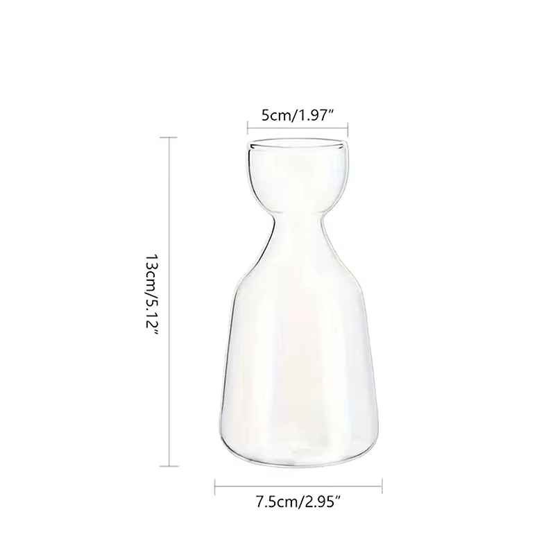 Vase de démarrage de graines d'avocat, Vase en verre Transparent pour plantes en croissance, Kit de 