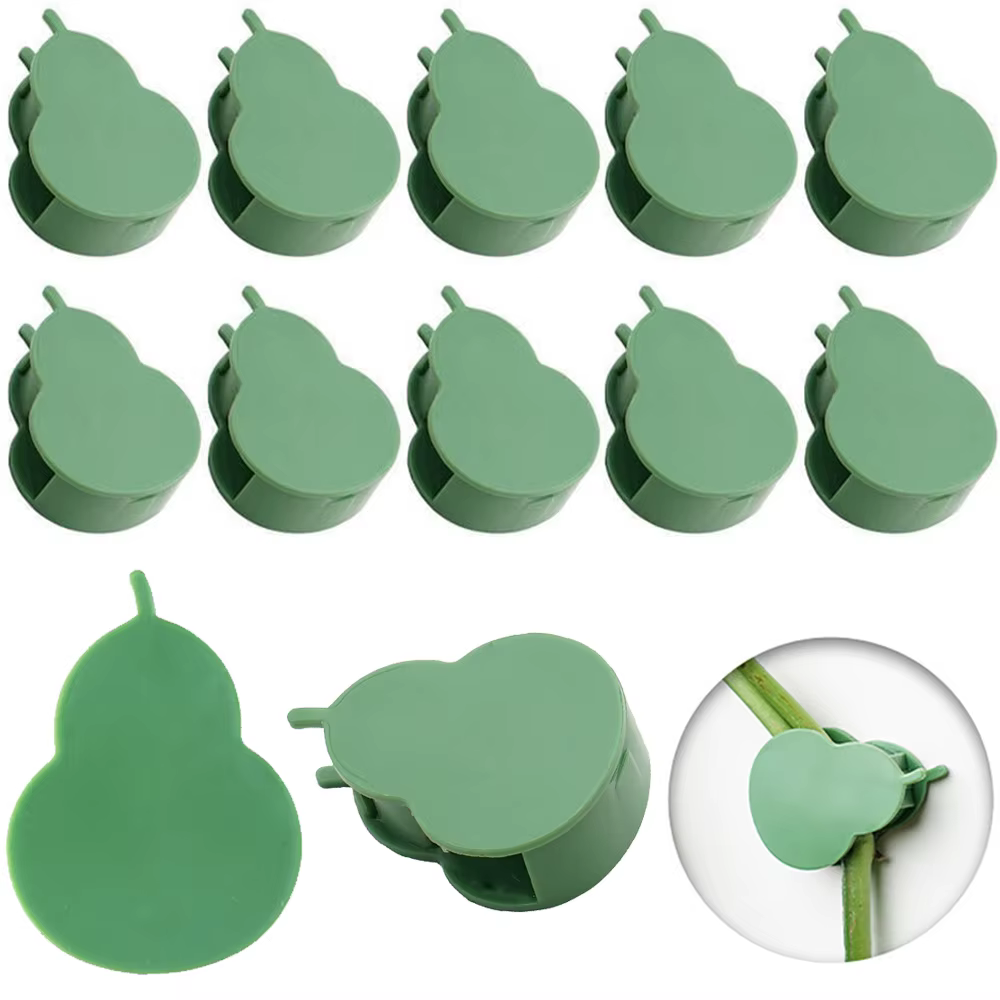 Fixation murale grimpante invisible pour plantes, rotin et vigne, clips de support de traction, supp