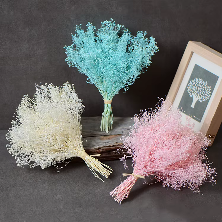 Fleur naturelle fraîche conservée pour bébé
