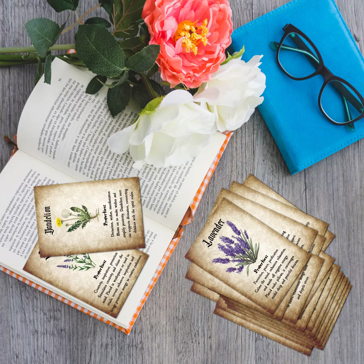 Cartes à base de plantes avec Illustrations botaniques