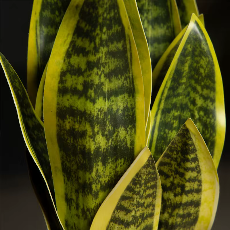 Plantes serpent artificielles Sansevieria 32/37cm