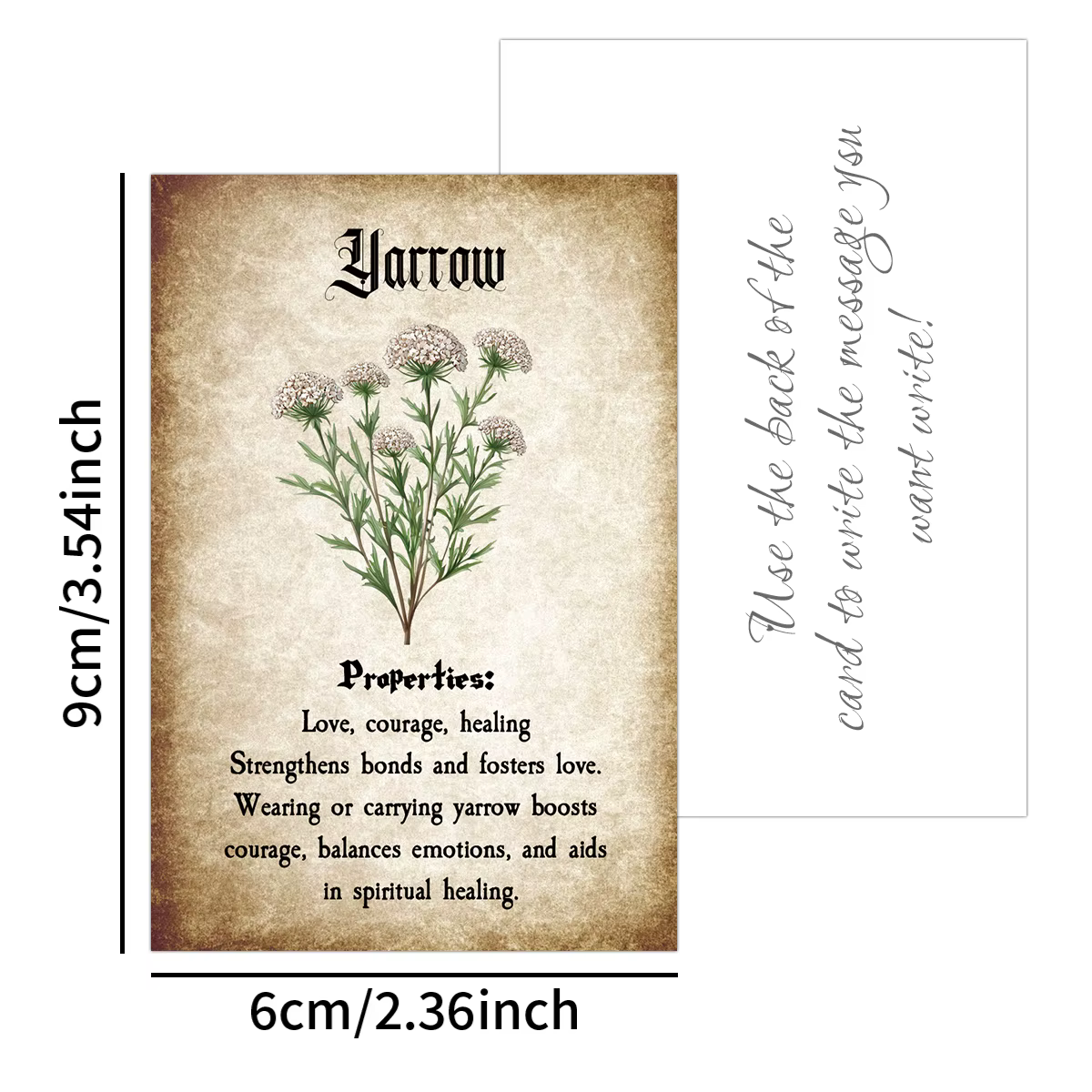 Cartes à base de plantes avec Illustrations botaniques