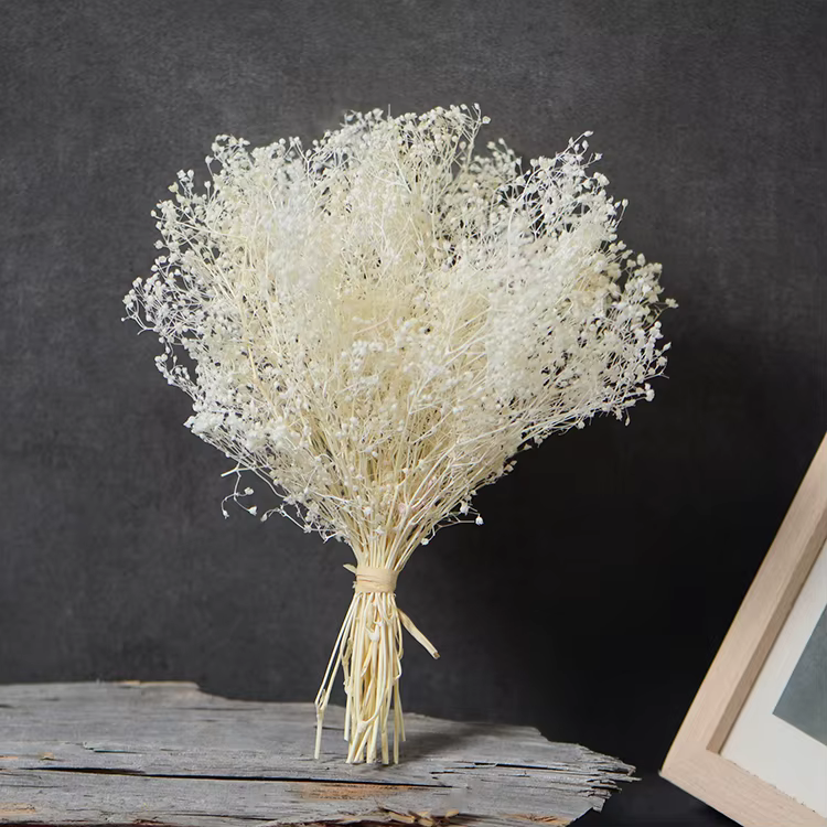 Fleur naturelle fraîche conservée pour bébé