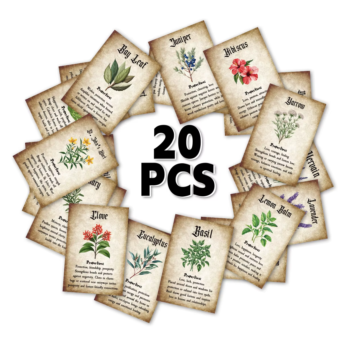 Cartes à base de plantes avec Illustrations botaniques
