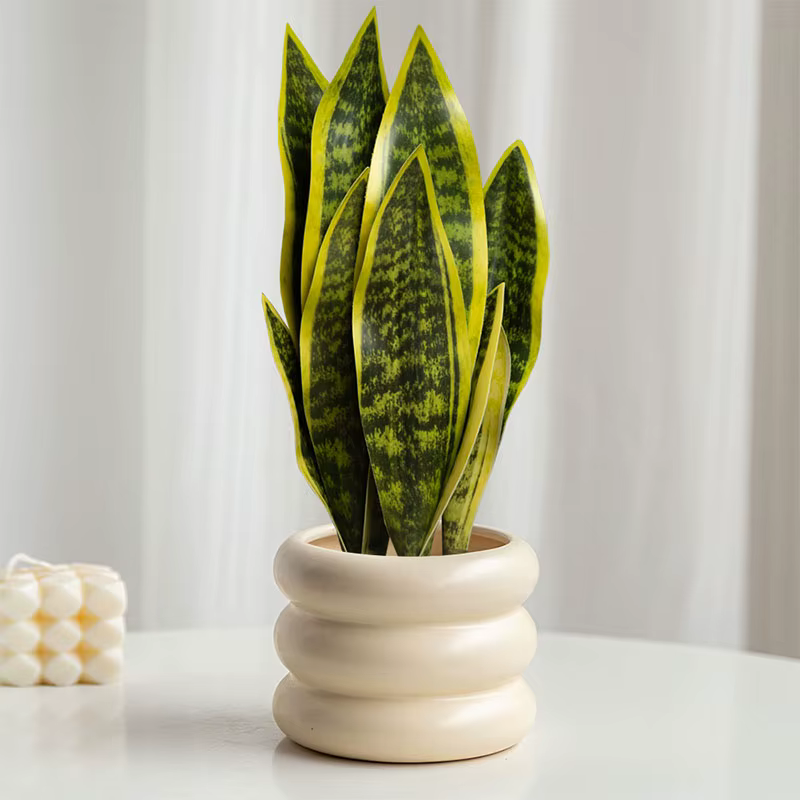 Plantes serpent artificielles Sansevieria 32/37cm