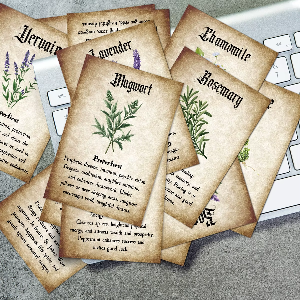 Cartes à base de plantes avec Illustrations botaniques