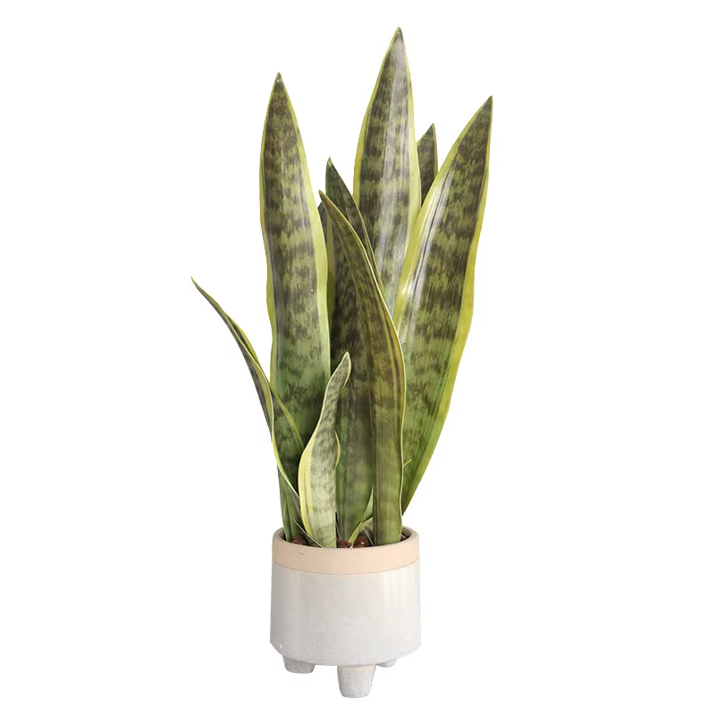 Plantes de tigre Piran artificielles en plastique Tropical
