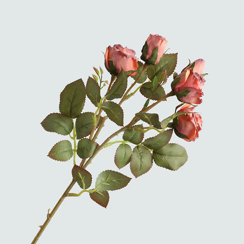 Exposition de fausses fleurs artificielles pour faire de vieilles roses à bord de coke