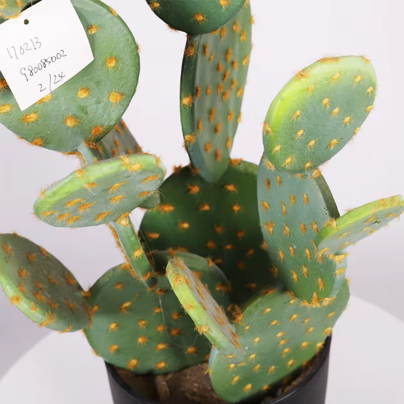 Cactus Plante Succulente Artificielle