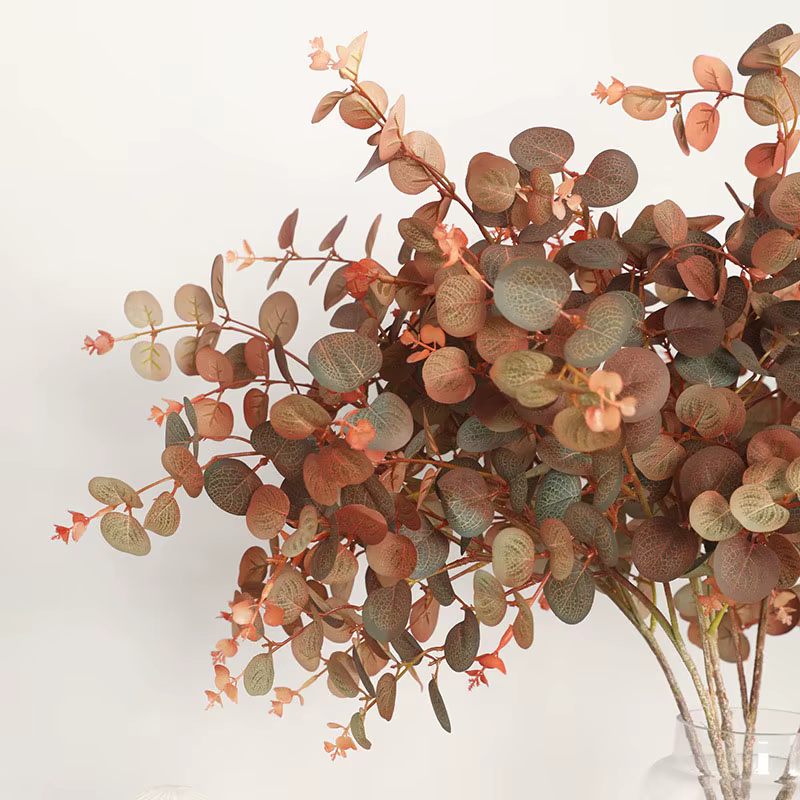 Feuille d'eucalyptus de style d'automne