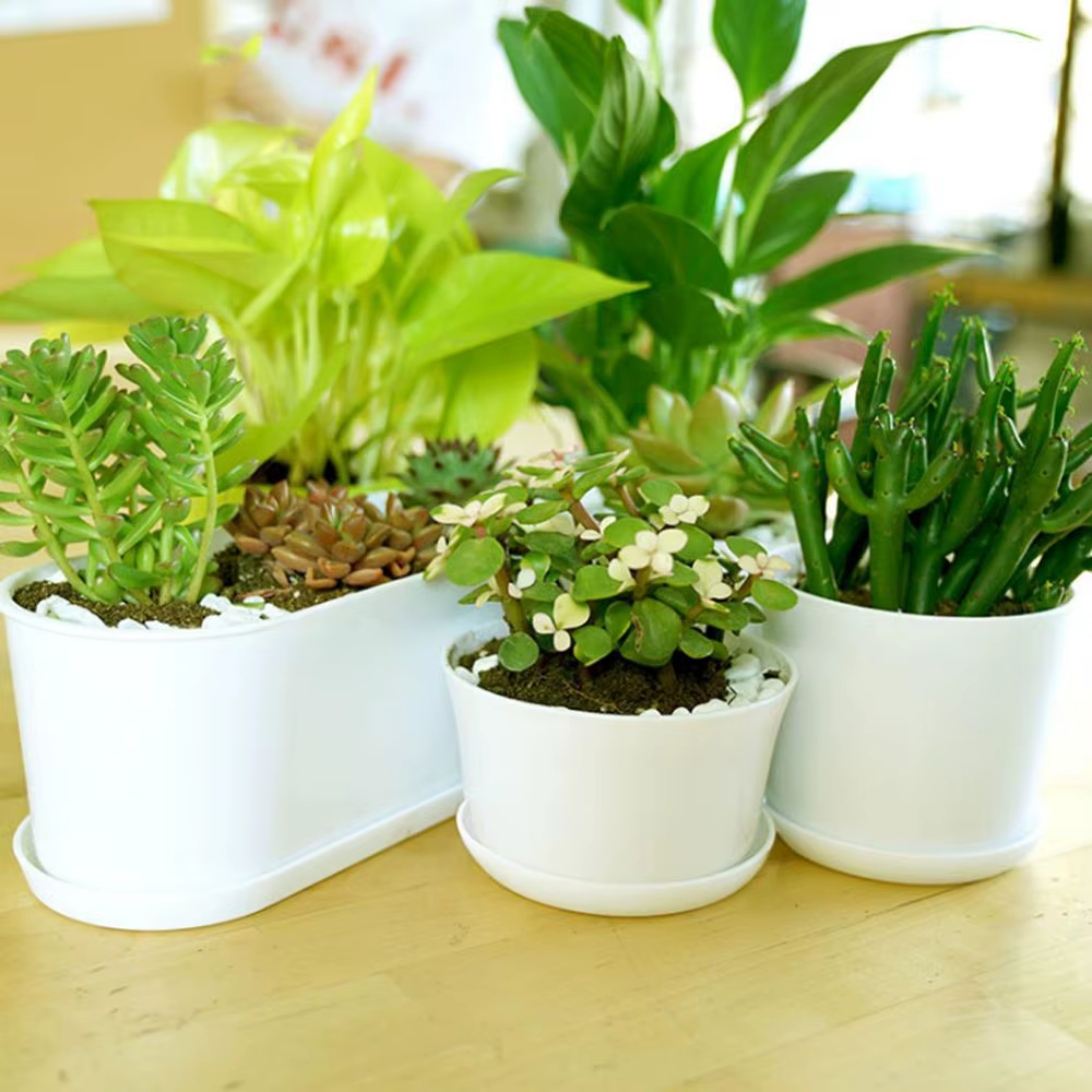 Pot de fleur polygonal minimaliste blanc avec plateau