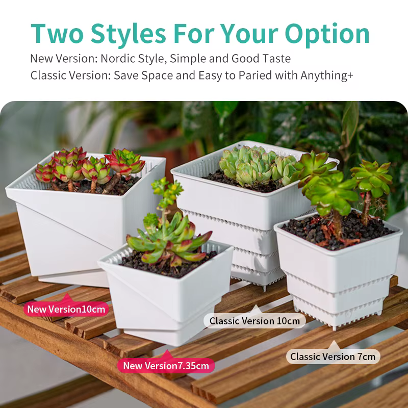 Pot de fleurs succulentes en plastique