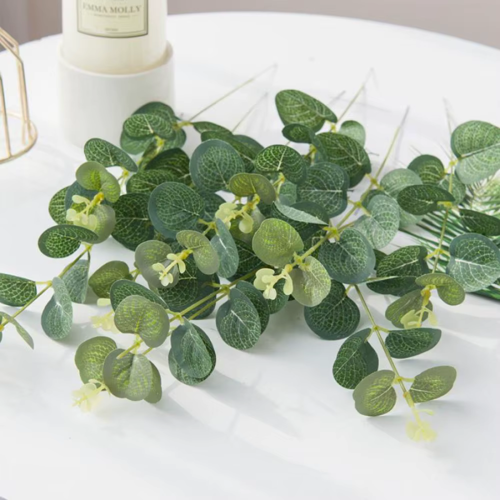 Feuilles d'eucalyptus bon marché