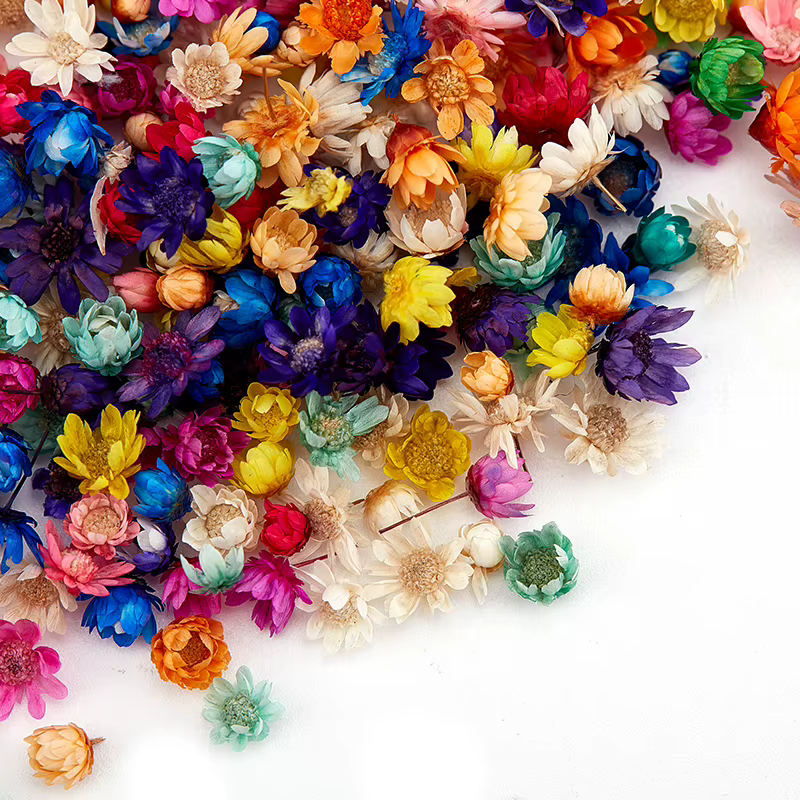 Fleurs séchées pour élection