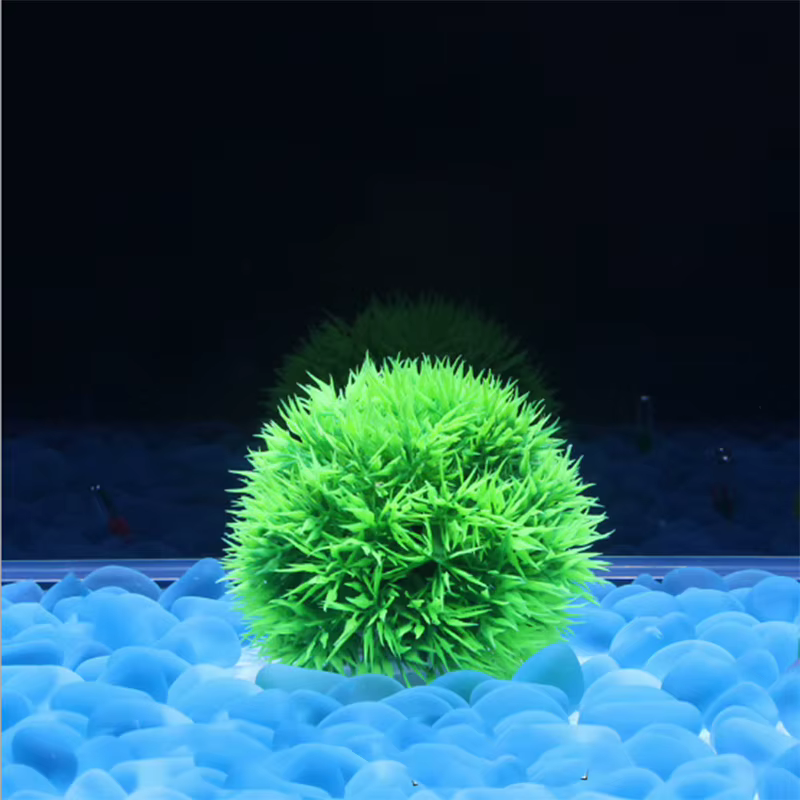 Dia. Décoration de plantes d'aquarium 8cm