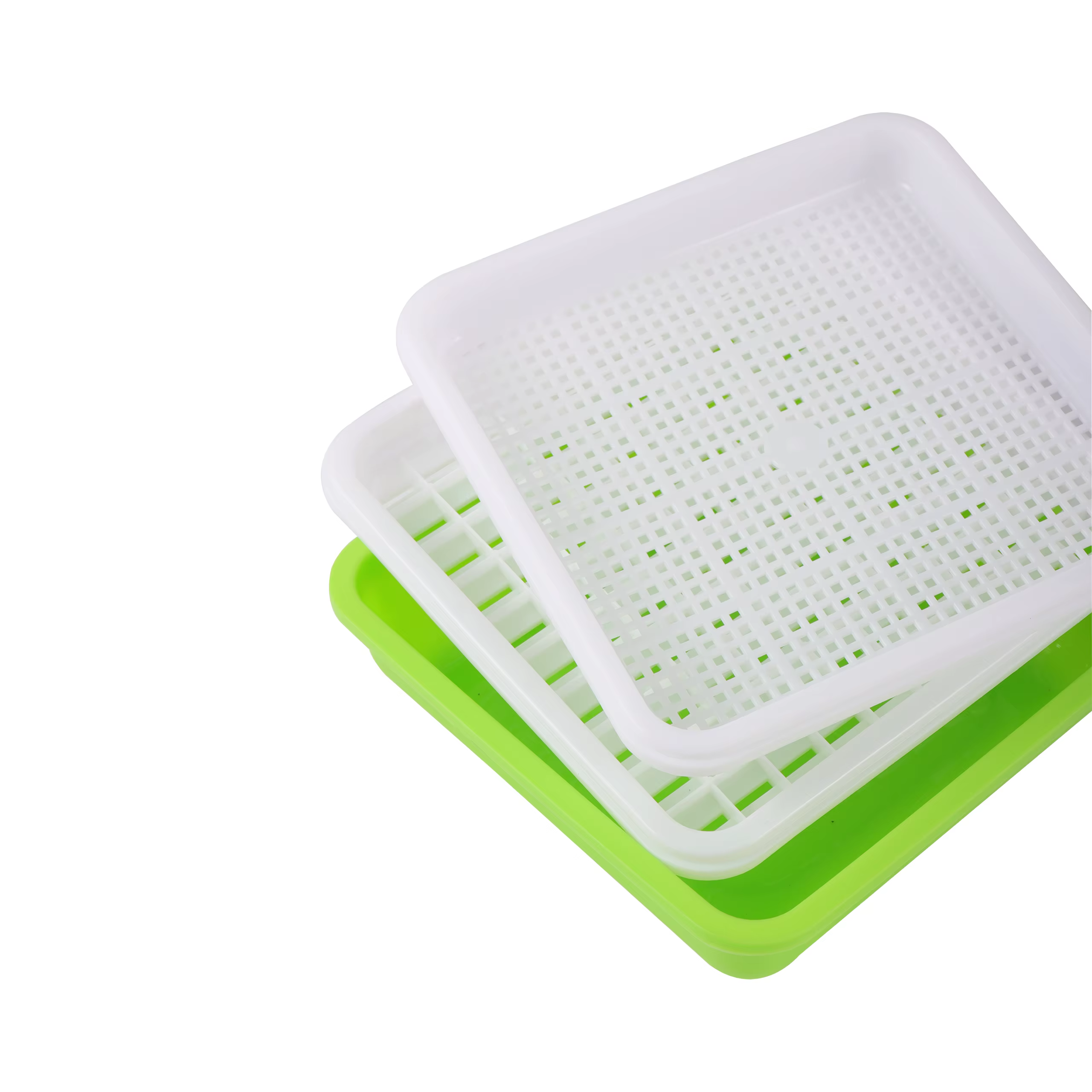Boîte hydroponique pour germer des cacahuètes