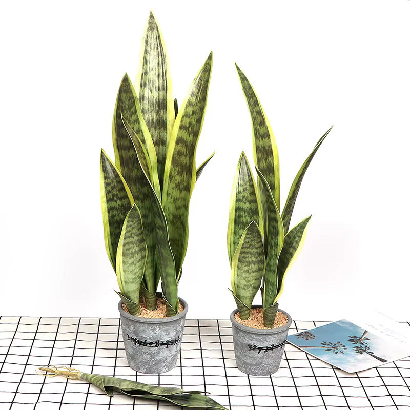 Plantes artificielles, succulentes réalistes
