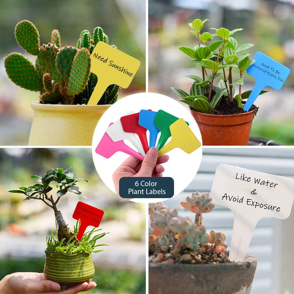 Étiquettes de plantes en plastique
