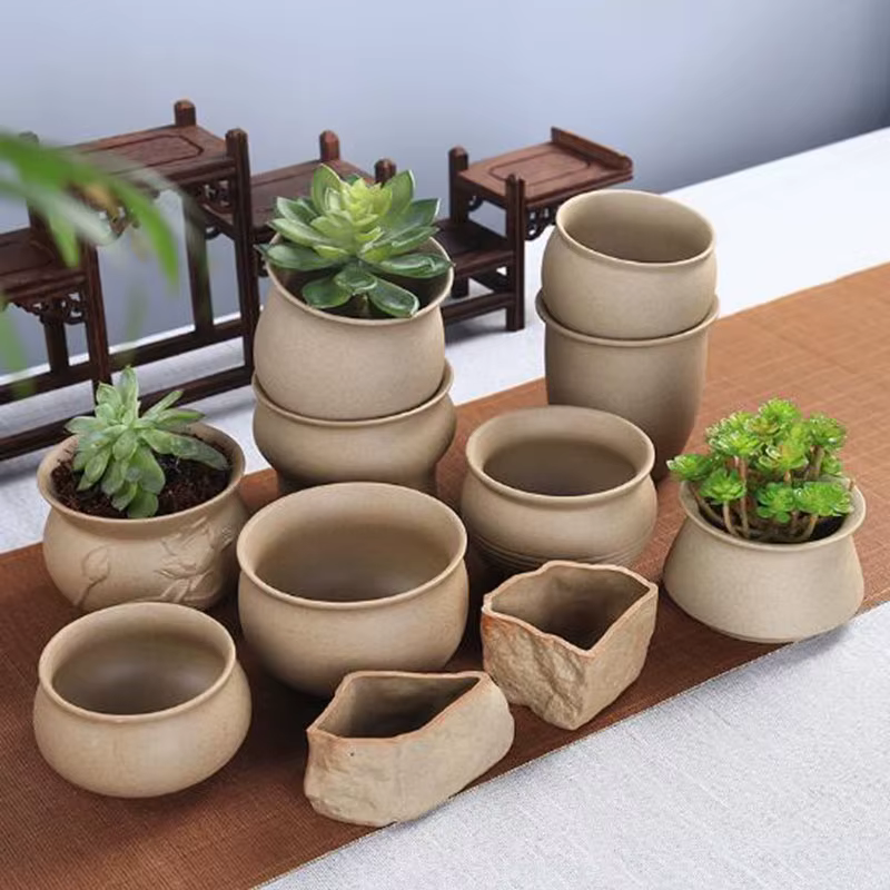 Pot de plante succulente en poterie grossière rétro