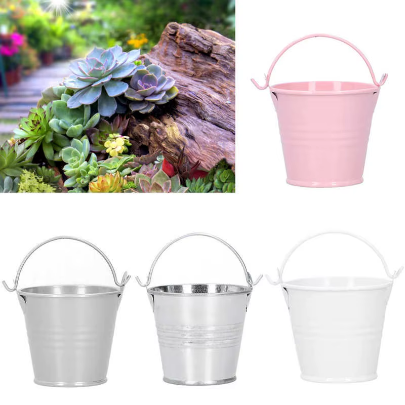 Mini pot de fleur en fer pour plantes succulentes