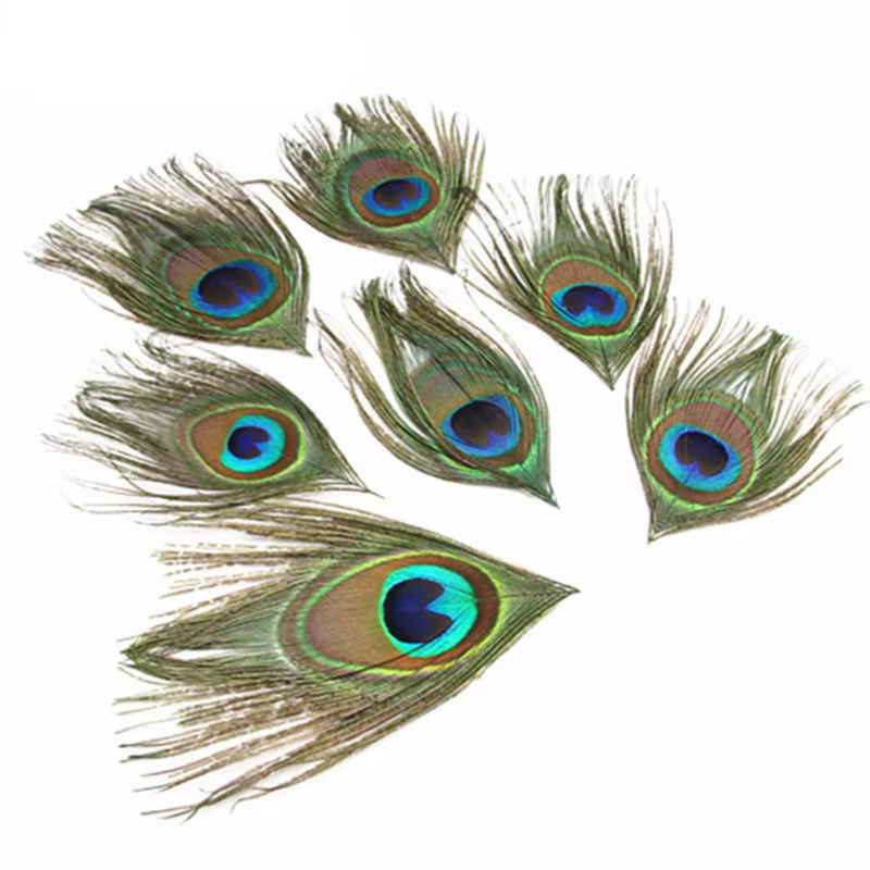 20 pièces/lot vraie plume de paon 13-16CM plumes