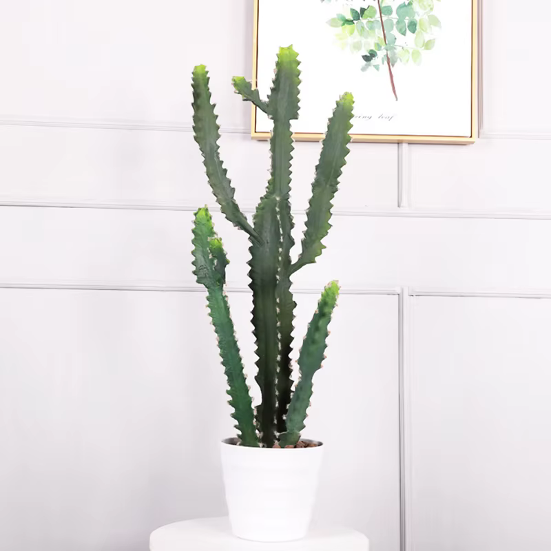Cactus Plante Succulente Artificielle