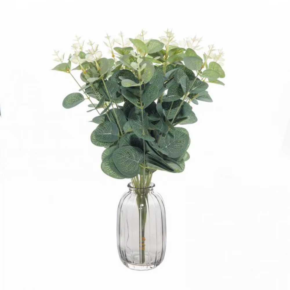 Feuilles d'eucalyptus bon marché