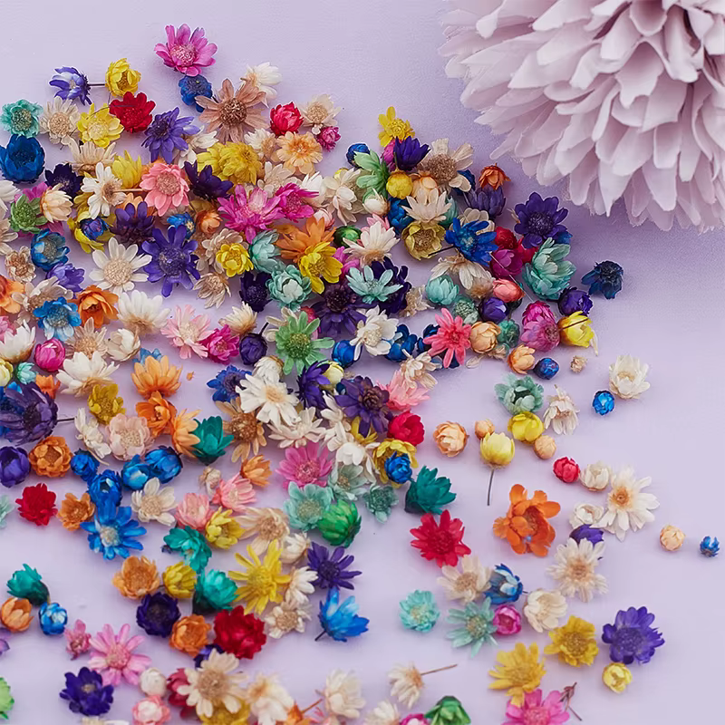 Fleurs séchées pour élection