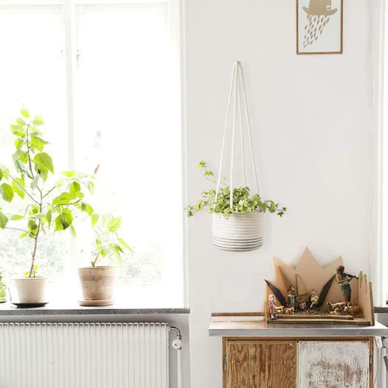 Jardinière suspendue de jardin