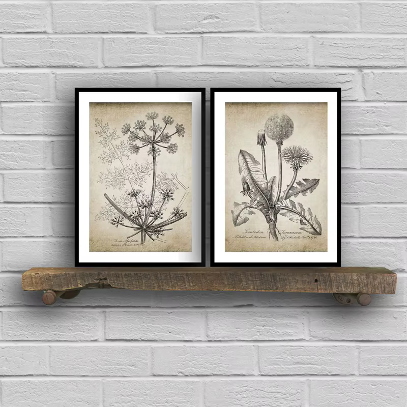 Affiches et imprimés botaniques antiques