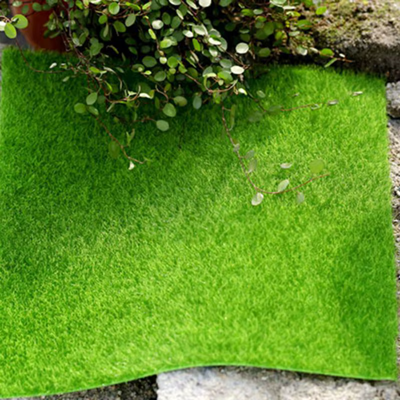 Micro Mousse de Décoration de Paysage
