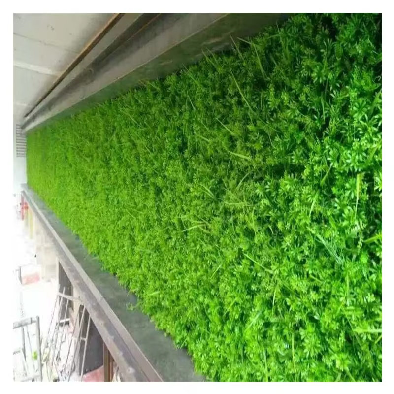 Nouvelle plante artificielle pelouse bricolage fond mur Simulation herbe feuille décoration de mariage vert en gros tapis gazon décor à la maison