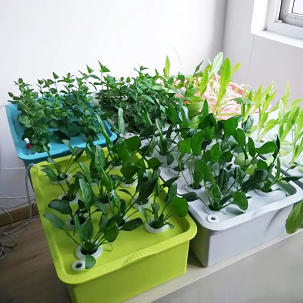 Kit de systèmes hydroponiques pour site de plantes