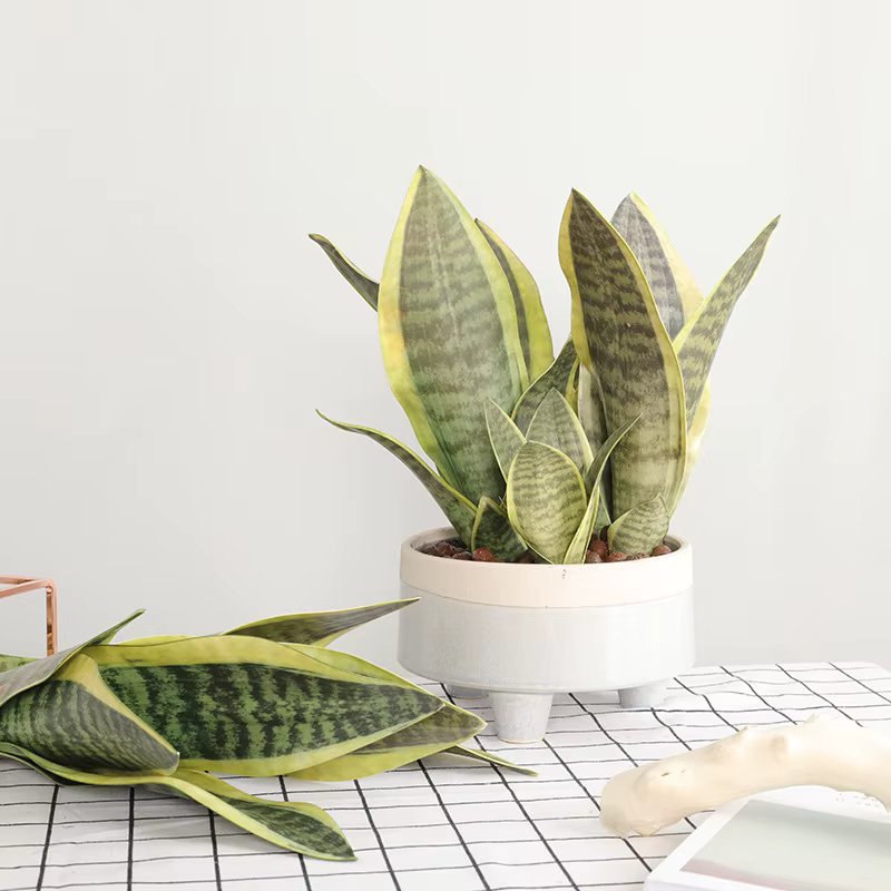 Plantes de tigre Piran artificielles en plastique Tropical