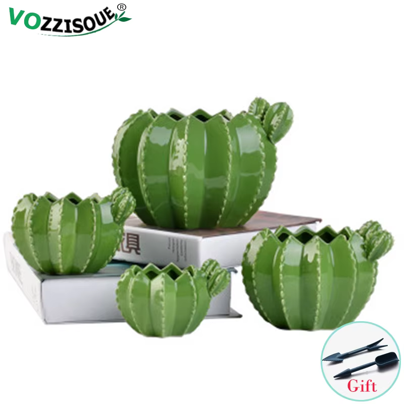 Pots de bonsaï Cactus en céramique créatifs