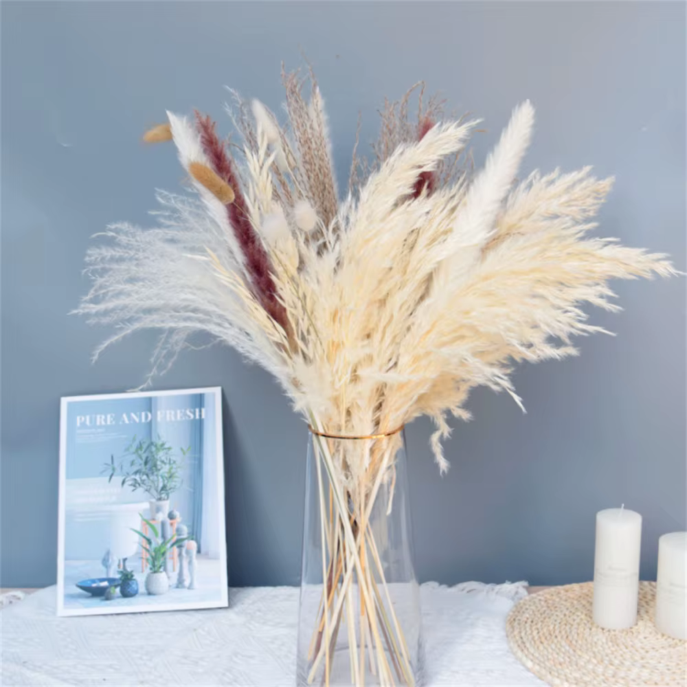 1 ensemble de fleurs séchées