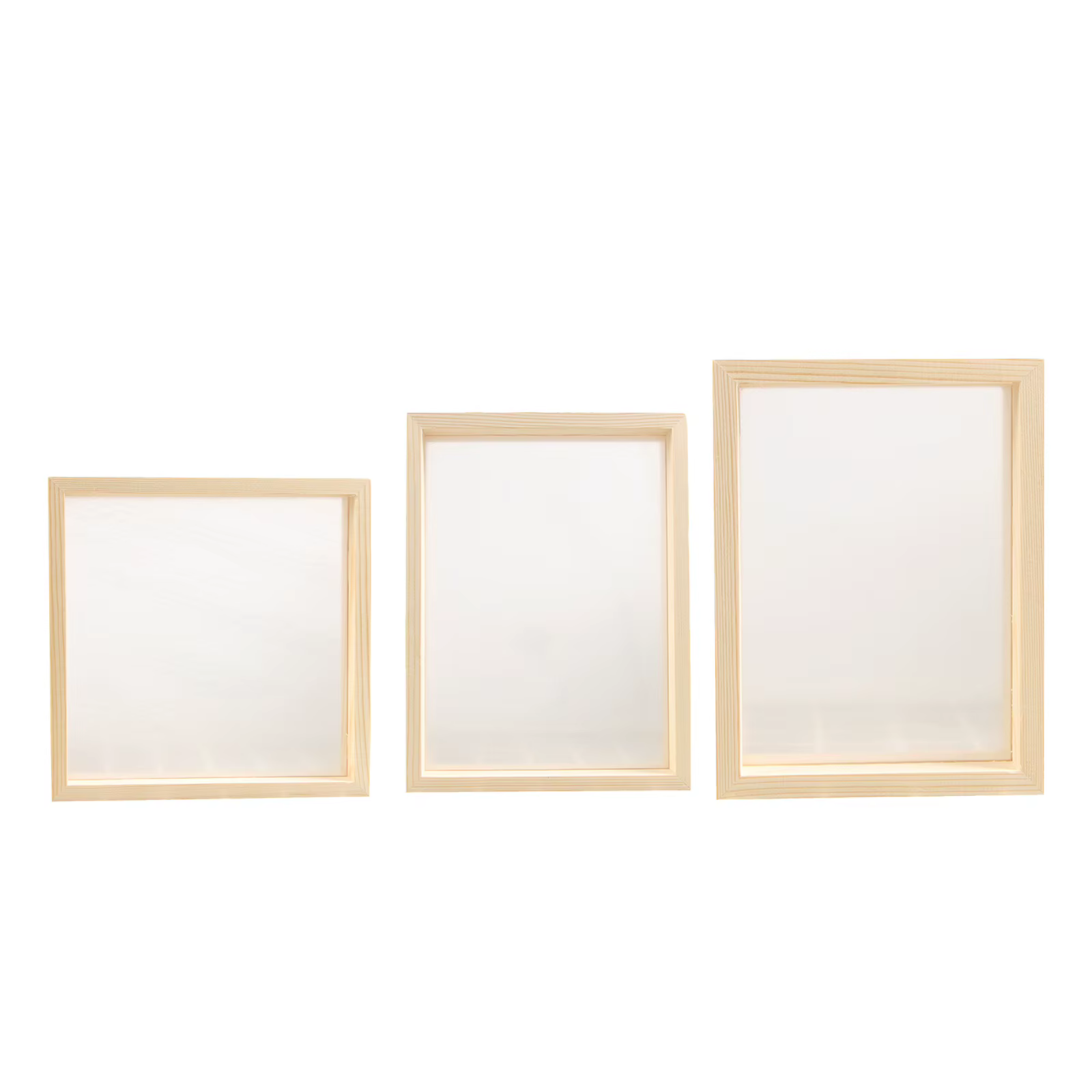 Cadre Photo Double face pour plantes