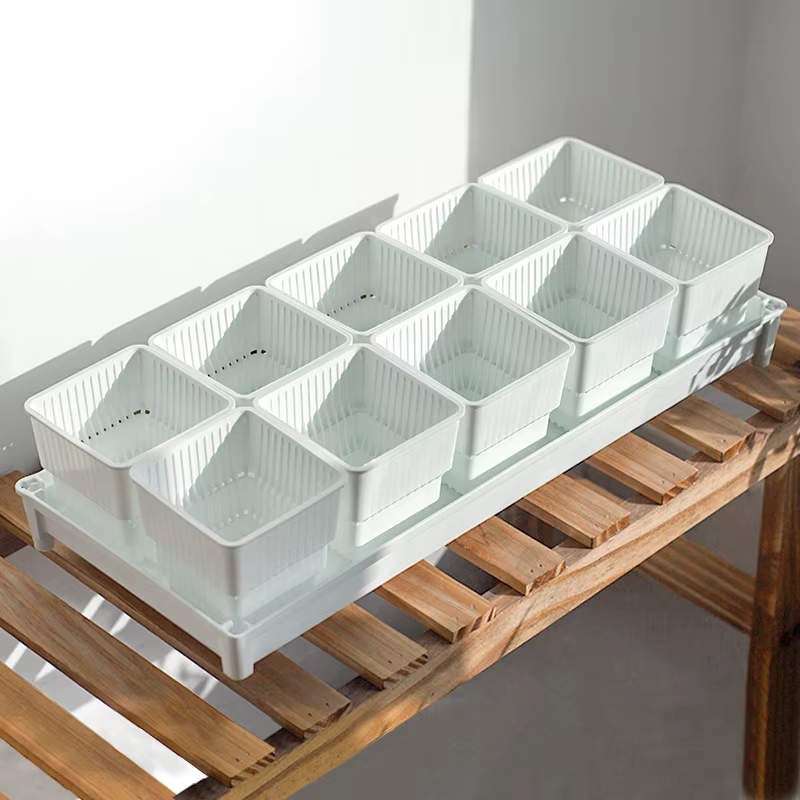 Pot de fleurs succulentes en plastique